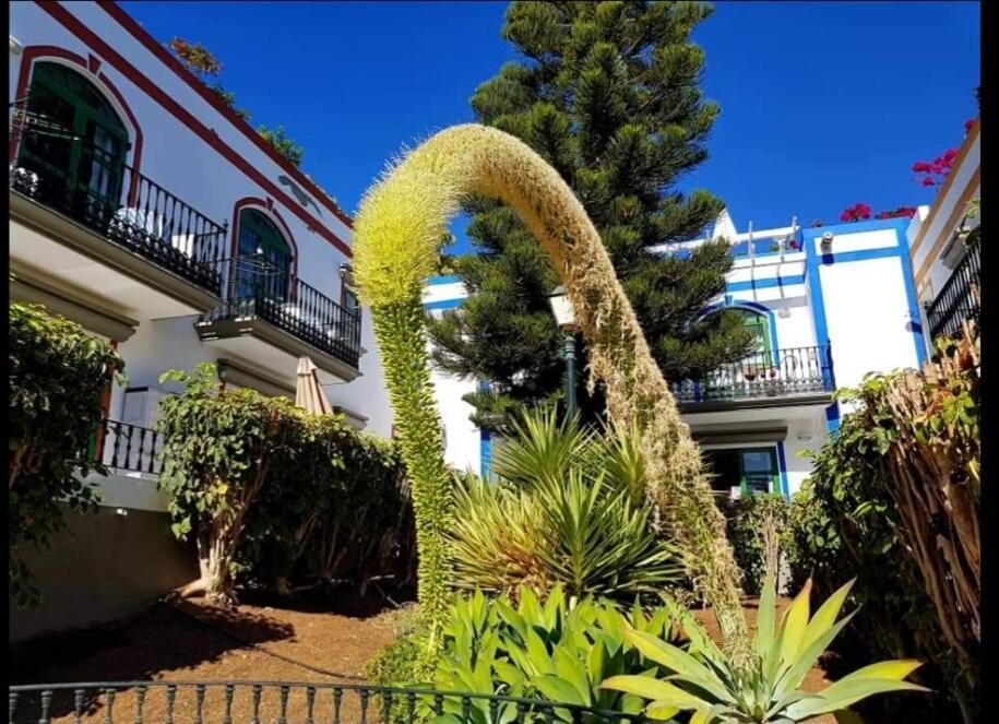 Dailos' Home Puerto De Mogan Exterior photo